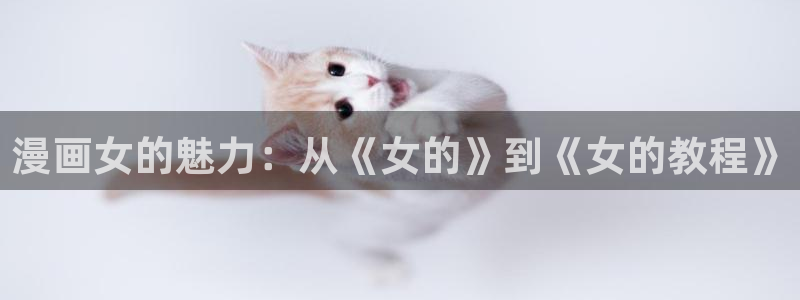 五一漫画网